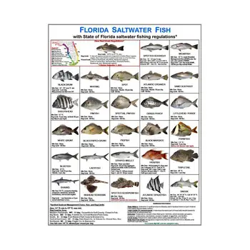 Удостоверение личности рыболова, магнитная карта с руководством по видам рыб, удостоверение личности морской рыбы Флориды для пляжного причала