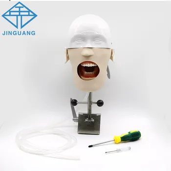Стоматологический тренажер Nissin Manikin Phantom Head, модель с новым настольным креплением для обучения стоматологов, практика преподавания стоматологов